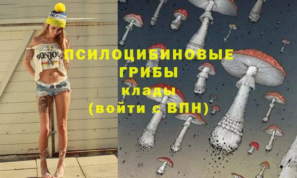 прущие крисы Мурманск
