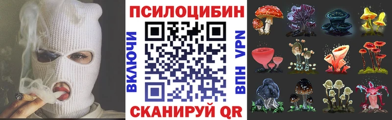 Псилоцибиновые грибы Cubensis  где можно купить   Никольское 